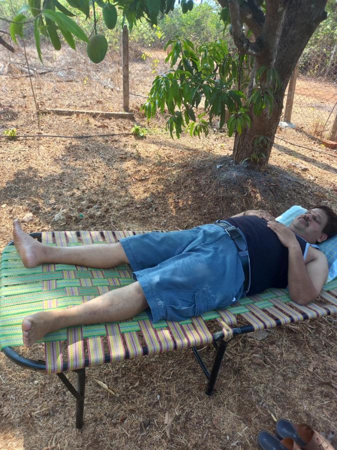 Misty Woods Eco Cottages Harihareshwar Extérieur photo